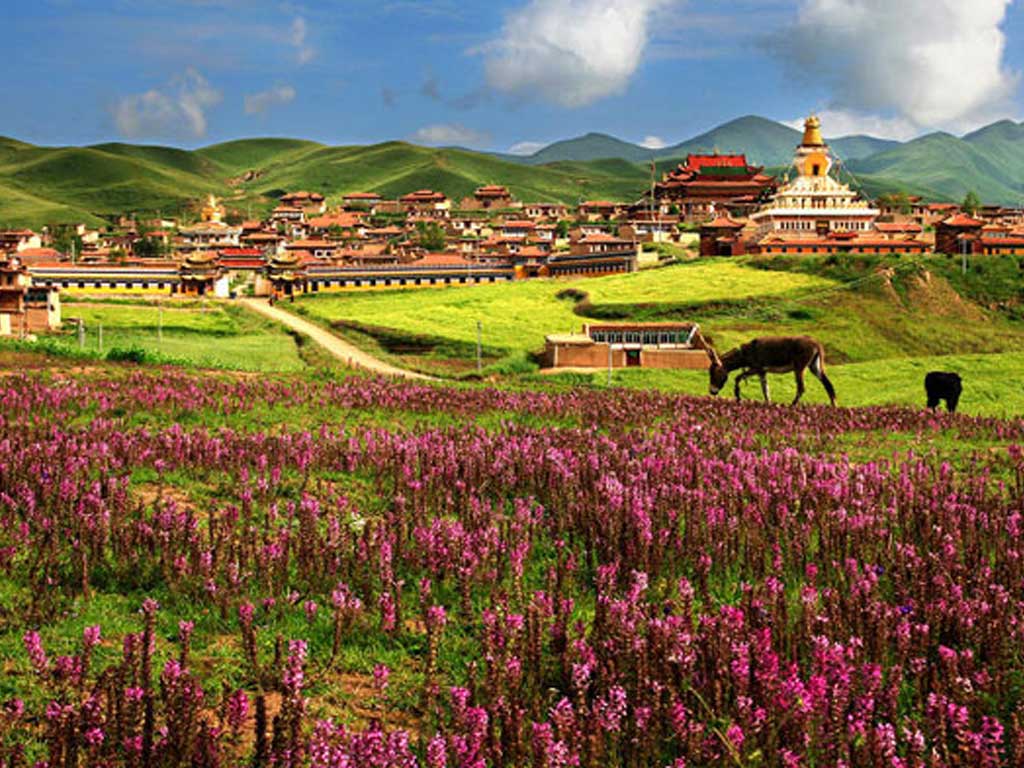 [Aurora Productions] INS Shangri-la