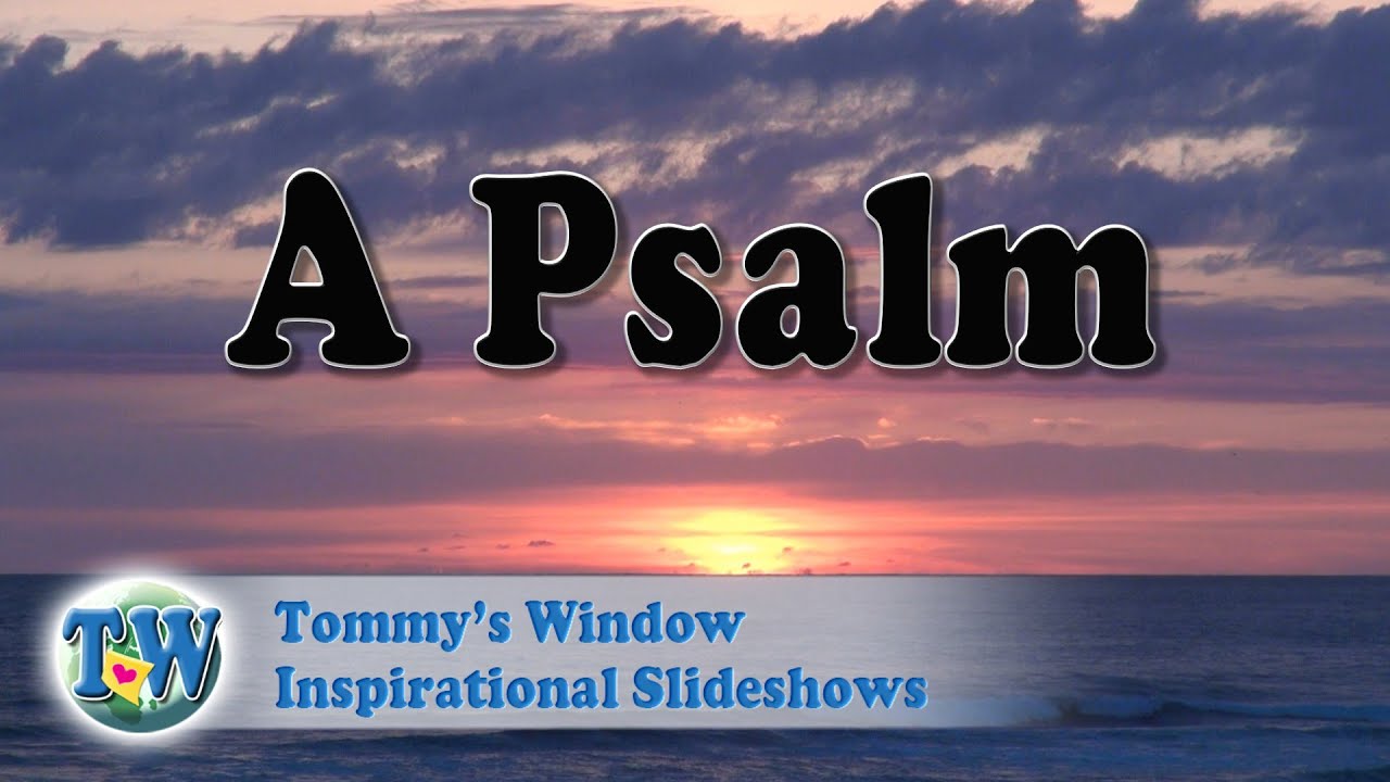 Tommy's Window