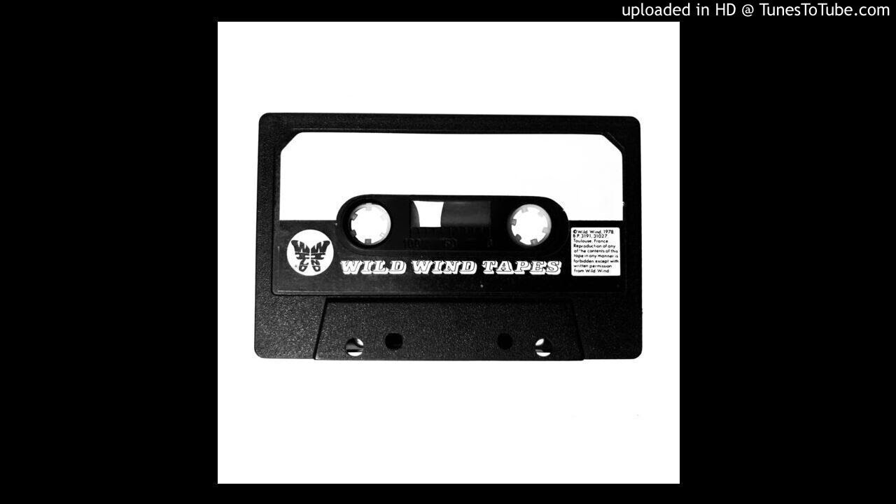 Wild Wind- Let Jesus Touch You -Micah Teddy Bear's Songs -